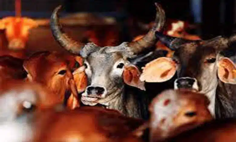 CBI summons Abhishek Banerjee in cattle smuggling case