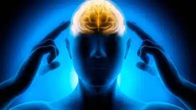 Five Easy Exercises to Improve Concentration