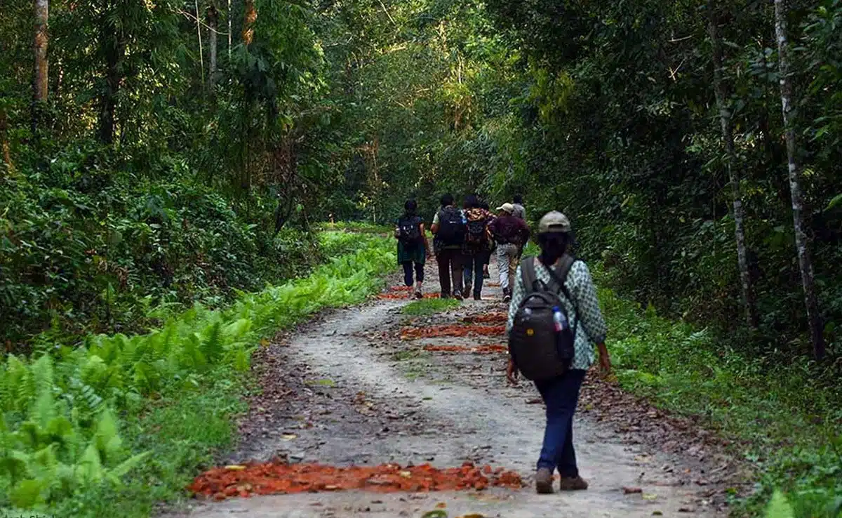 7 National Parks of Assam and its features