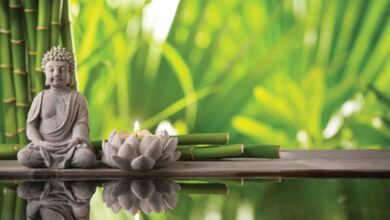 Benefits of Money Plant according to Feng Shui
