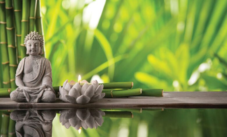 Benefits of Money Plant according to Feng Shui