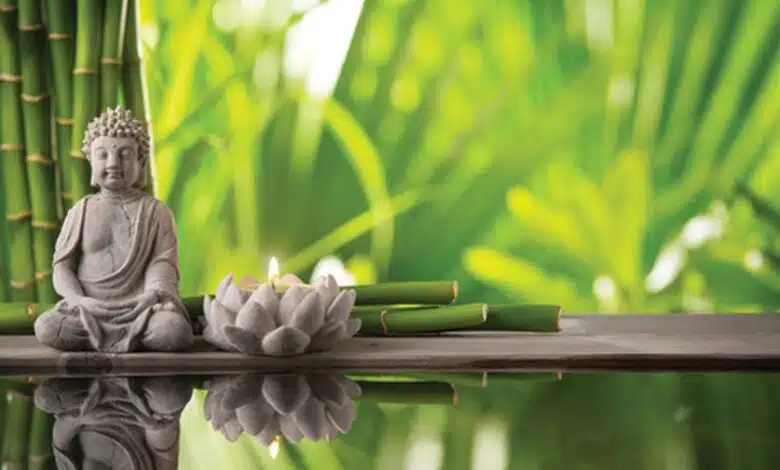 Benefits of Money Plant according to Feng Shui