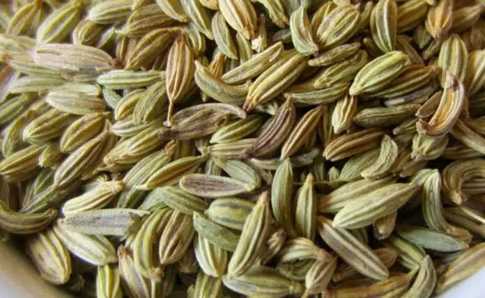 Fennel Seeds can help in reducing weight in 4 ways