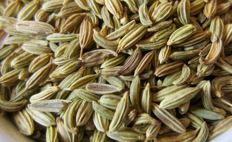 Fennel Seeds: सौंफ 4 तरीके से वजन कम करने में मदद कर सकती है