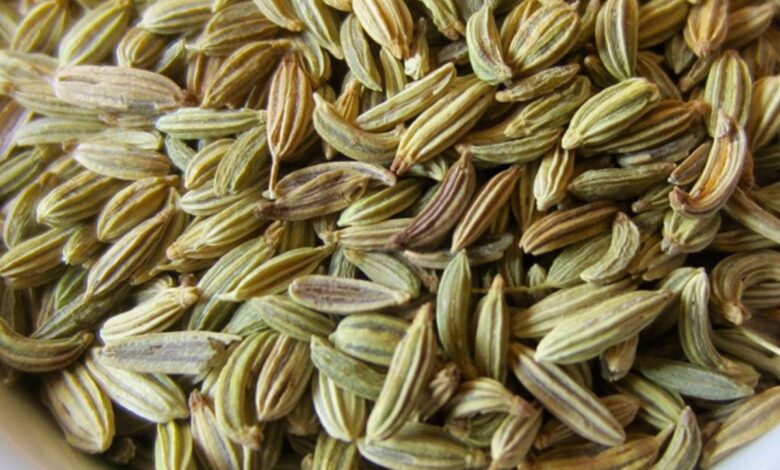 Fennel Seeds can help in reducing weight in 4 ways