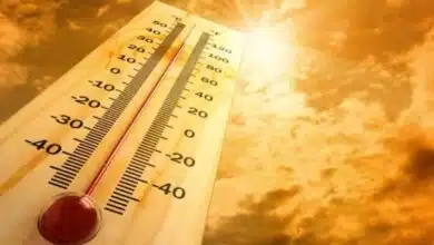 India will see rise in temperature: IMD