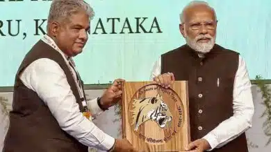 IBCA to focus on protection of big cats