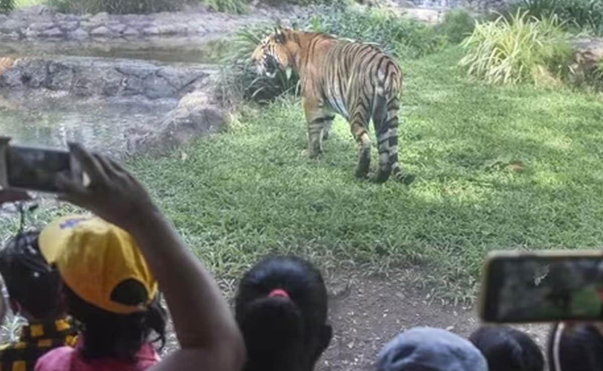 Karnataka Tiger Reserve PM Modi visits Karnataka Tiger Reserve