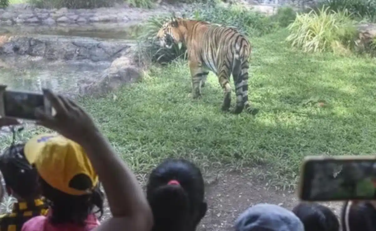 PM Modi visits Karnataka Tiger Reserve