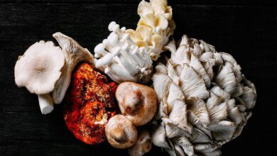 Mushroom allergy causes, symptoms and remedies