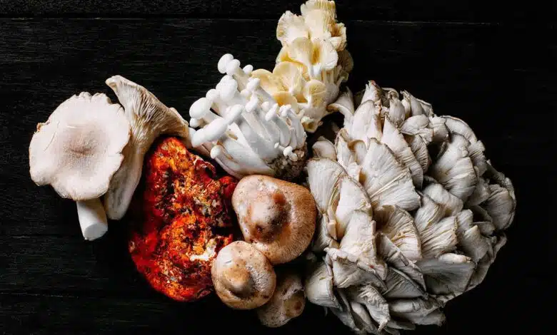 Mushroom allergy causes, symptoms and remedies