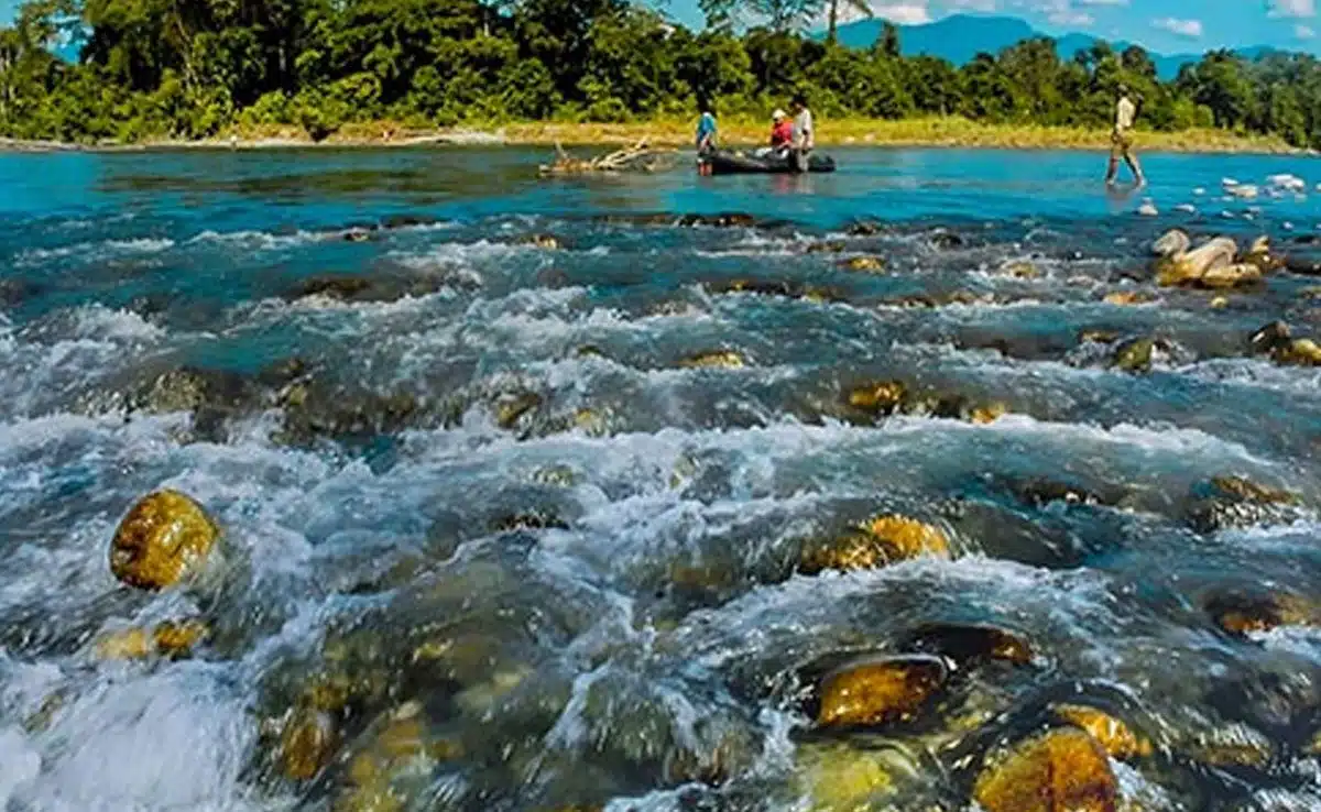 7 National Parks of Assam and its features