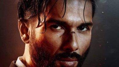 Shahid Kapoor's new film Bloody Daddy