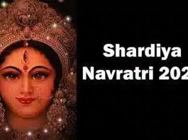 Low-Carb Recipes for Shardiya Navratri 2023