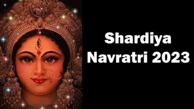 Low-Carb Recipes for Shardiya Navratri 2023