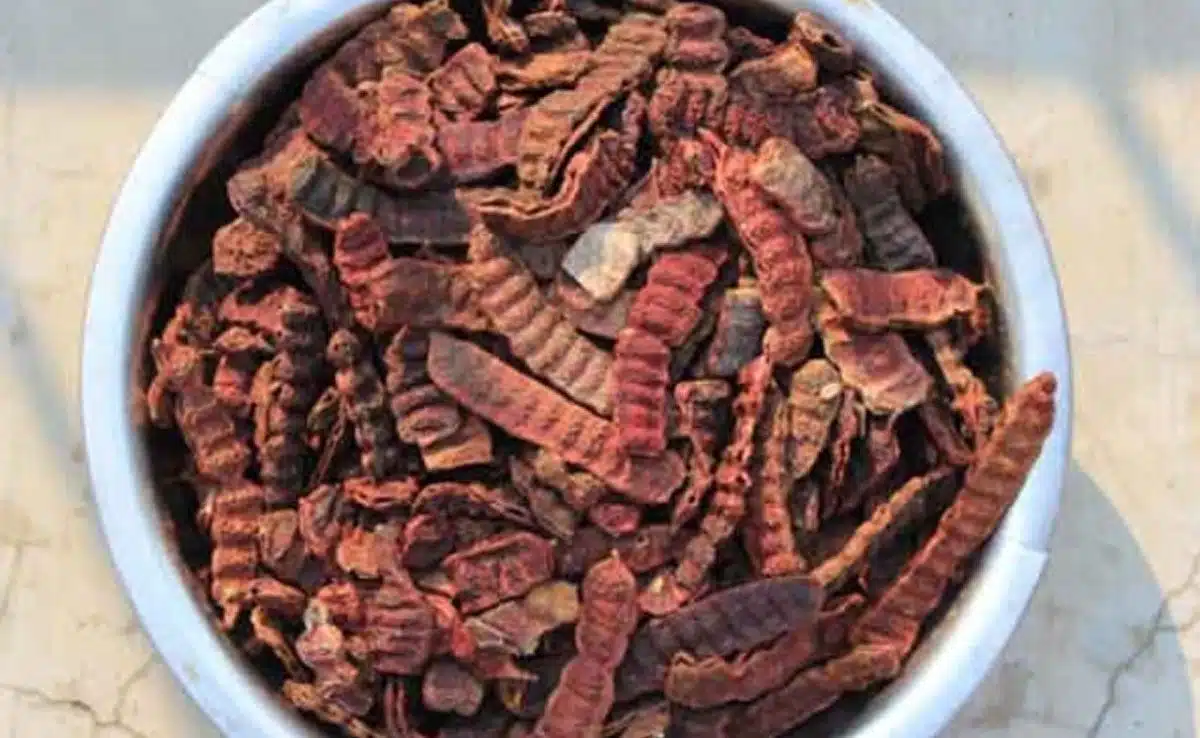 How Shikakai is beneficial for hair and how to use