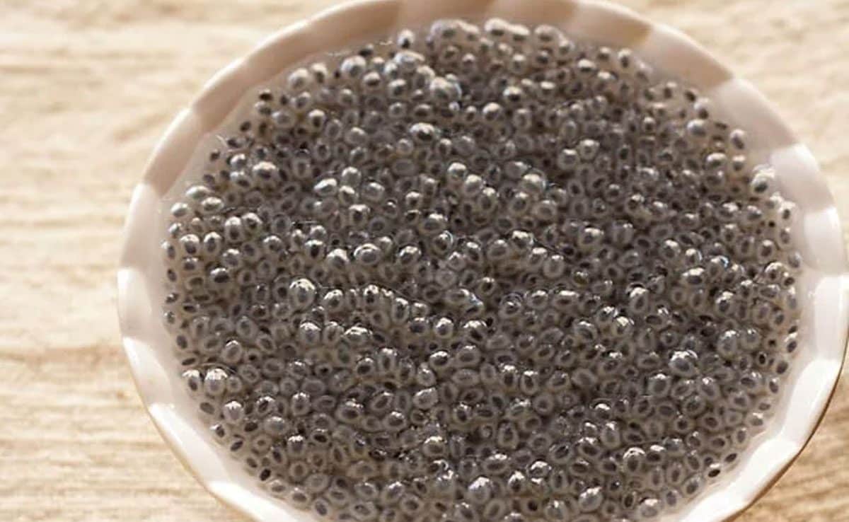 Can Jaggery Water Help You Stay Hydrated?