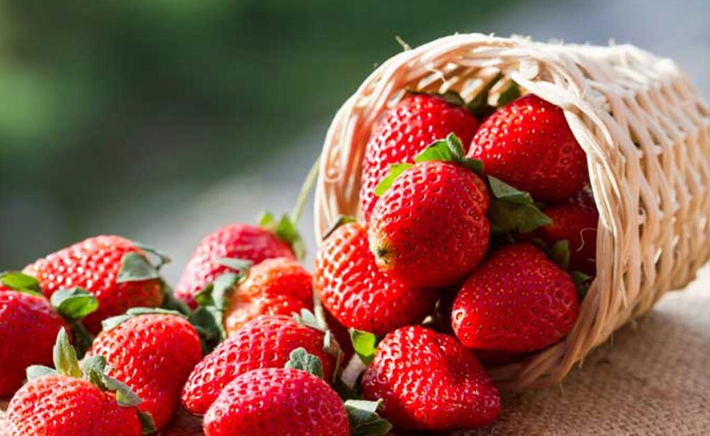 Eat these fruits to make skin healthy and glowing in summer