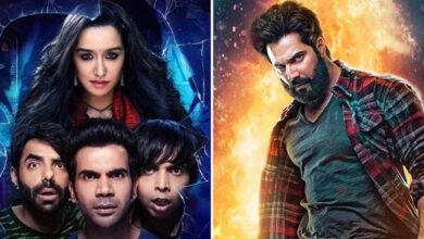 Stree 2 and Bhediya 2 will soon hit the screens