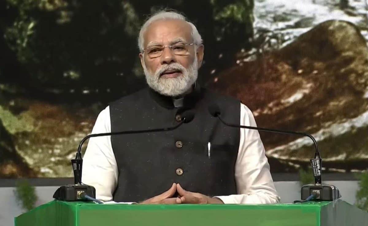 Tiger population in 2022 was 3,167