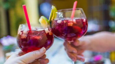 Try the Maharashtrian Kokum Sherbet drink now