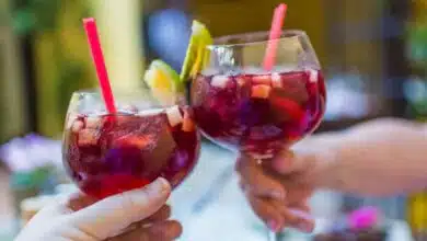 Try the Maharashtrian Kokum Sherbet drink now