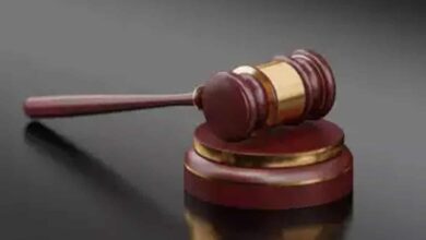 UP court grants bail to accused under cow slaughter law
