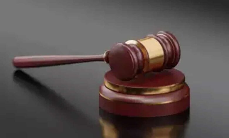 UP court grants bail to accused under cow slaughter law