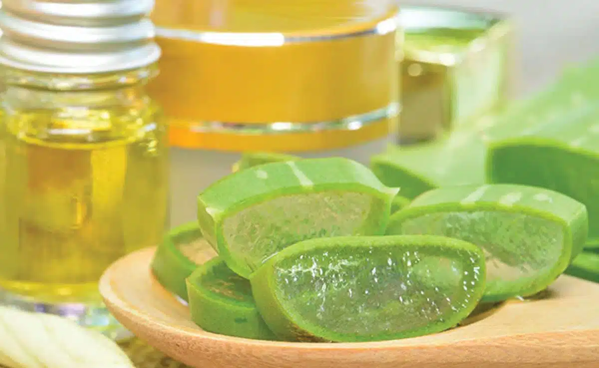 aloe vera and lemon for hair 5 Natural Hair Packs to Treat Split Ends
