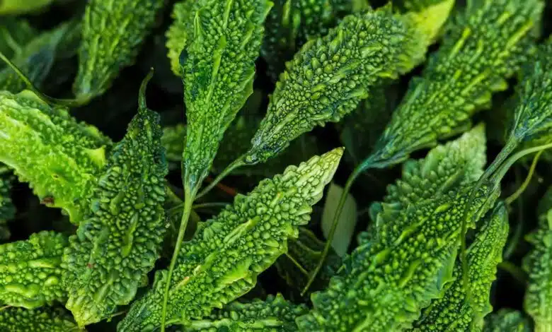 Avoid consuming these 5 foods after eating bitter gourd