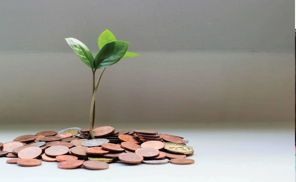 Benefits of Money Plant according to Feng Shui