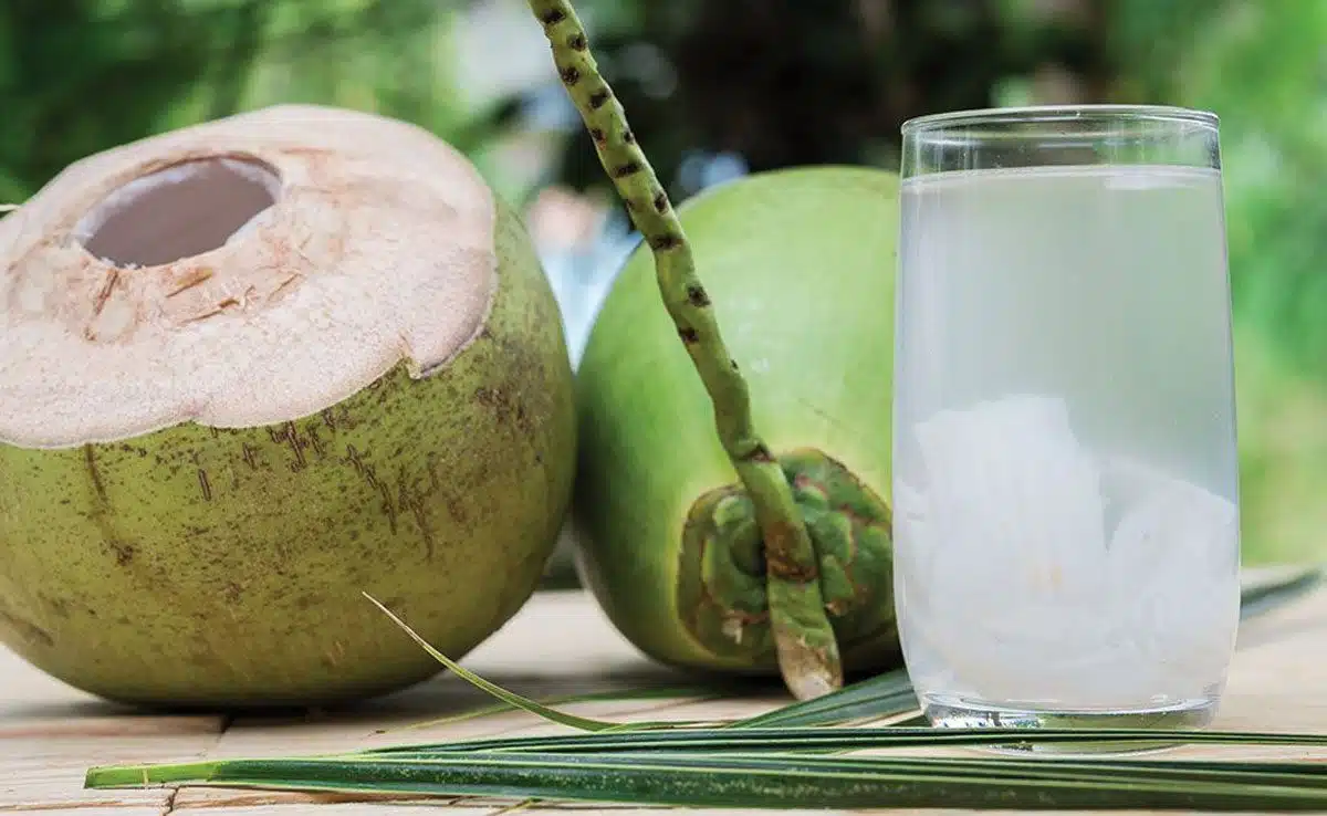 coconut water Healthy Drink to start the morning