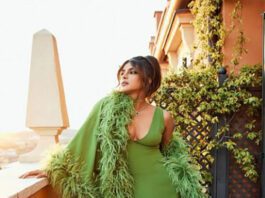 Priyanka Chopra flaunts full on glamor in a figure hugging gown