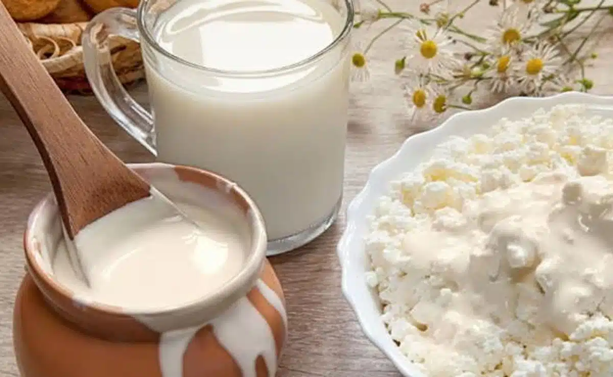 dahi chawal How to make South Indian curd rice for weight loss