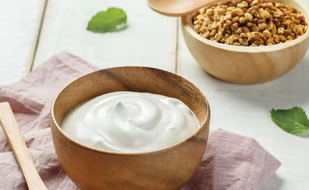 fenugreek seeds and curd for hair 5 Natural Hair Packs to Treat Split Ends