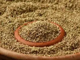 Health Benefits of Ajwain Seeds