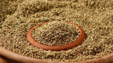 Health Benefits of Ajwain Seeds