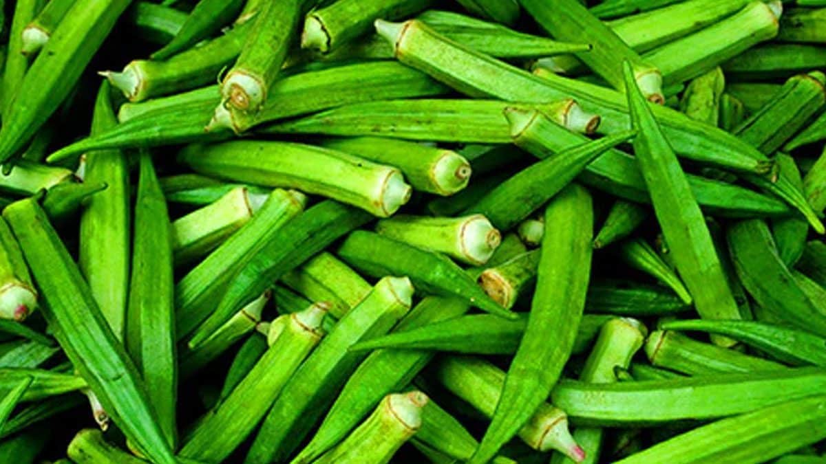Avoid consuming these 5 foods after eating bitter gourd