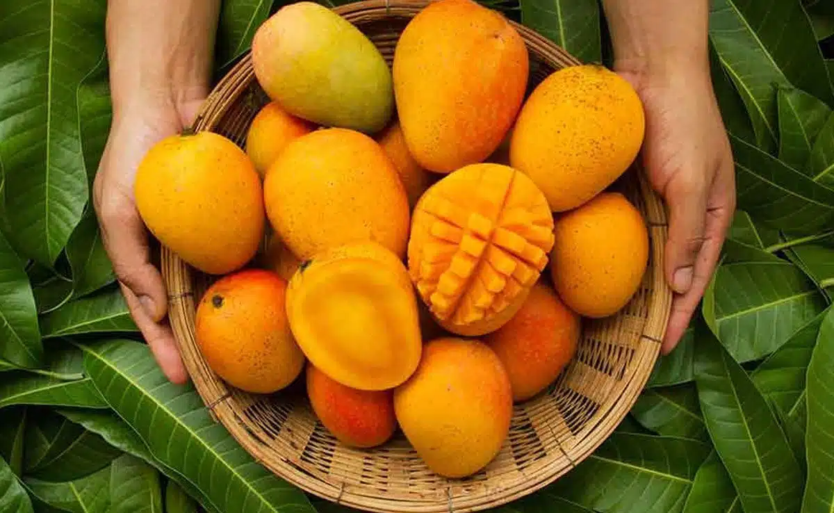 mango 2 Eat these fruits to make skin healthy and glowing in summer