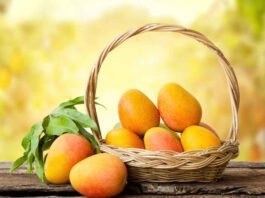 Health Benefits of Eating Mangoes