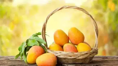 Health Benefits of Eating Mangoes