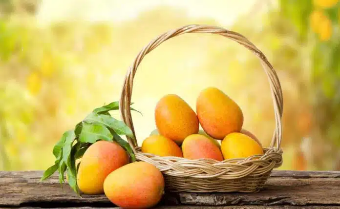 Health Benefits of Eating Mangoes