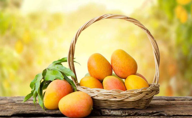 क्या Mangoes स्वस्थ हैं? आम खाने के स्वास्थ्य लाभ