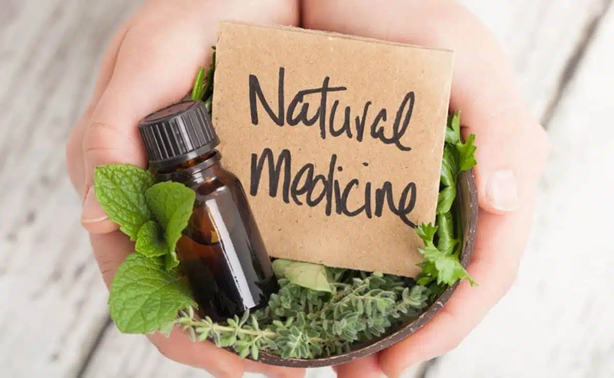 Loss of Biodiversity can affect humans