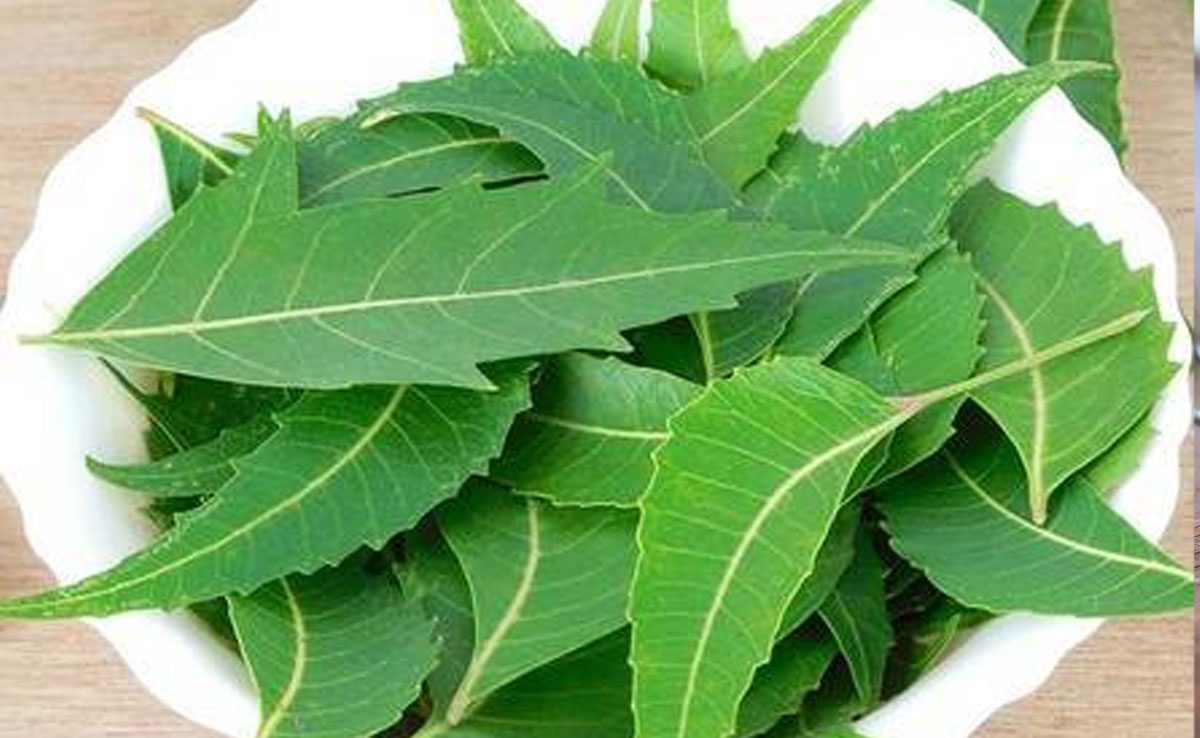 Try 7 Home Remedies To Get Rid Of Cavities