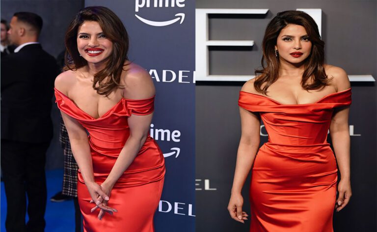 गाउन में प्रभावित करती Priyanka Chopra