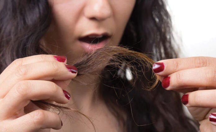 5 Natural Hair Packs to Treat Split Ends