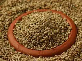 Ajwain, a powerful remedy for autoimmune disorders