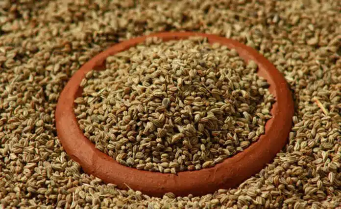 Ajwain, a powerful remedy for autoimmune disorders