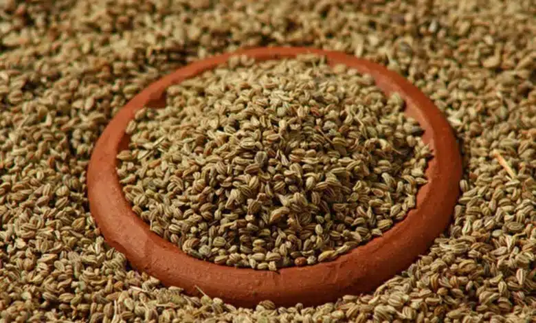 Ajwain, a powerful remedy for autoimmune disorders
